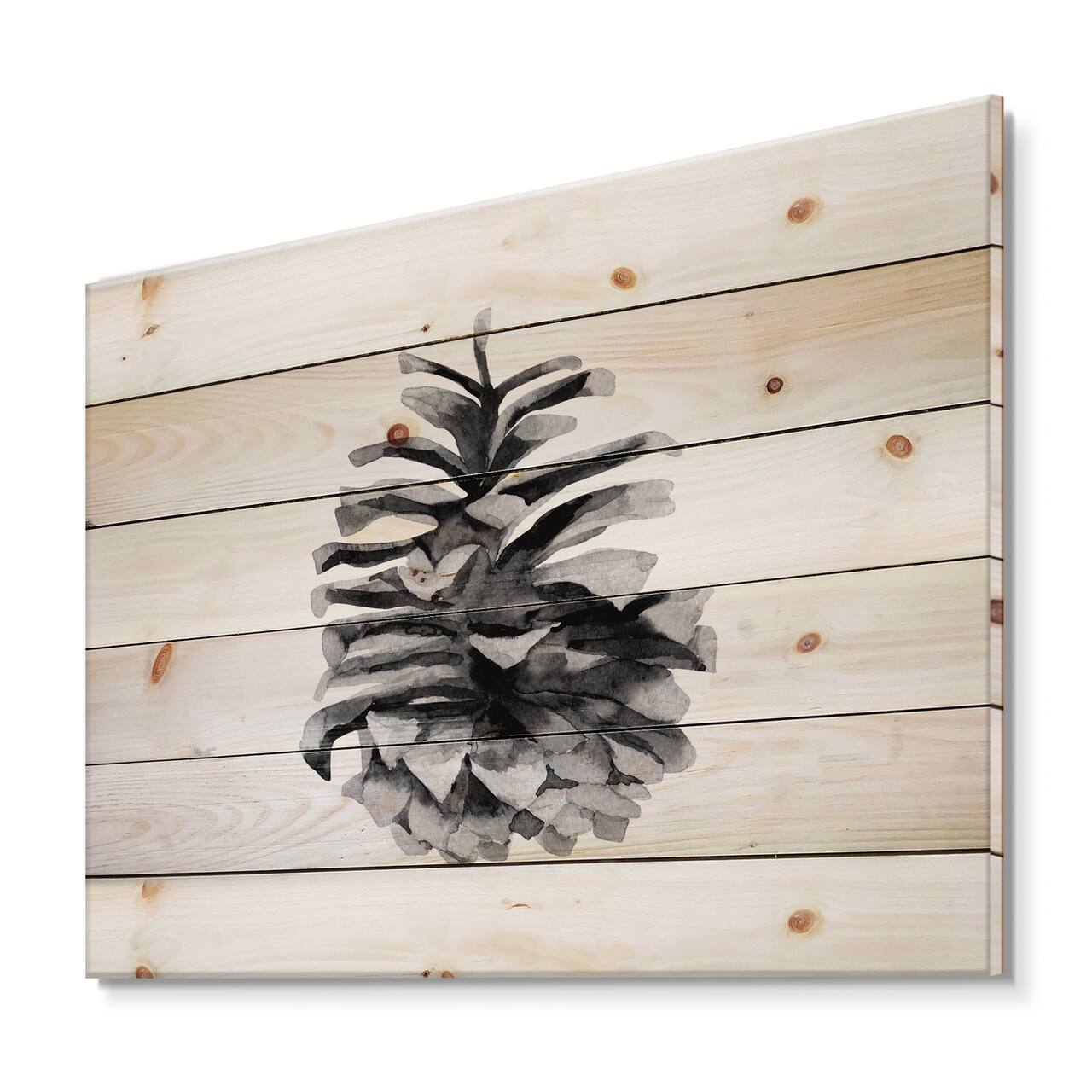 Designart - Conifer Cone Monochrome - Traditional Print on Natural Pine Wood